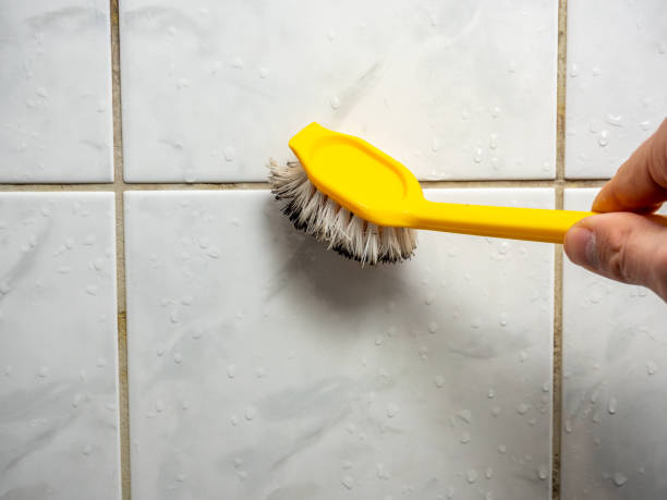 Best Toxic Mold Removal  in Leupp, AZ